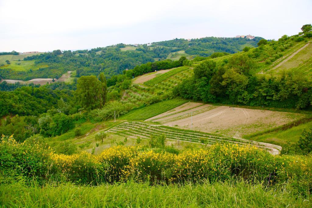 Agriturismo Biologico Villa Rosa Monte Guiduccio 外观 照片