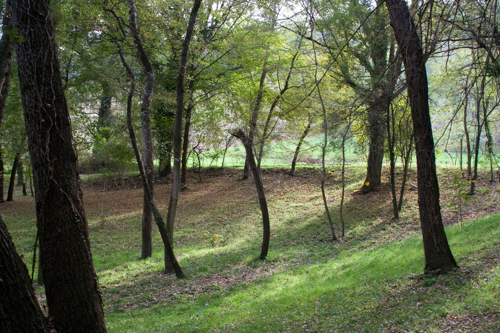 Agriturismo Biologico Villa Rosa Monte Guiduccio 外观 照片