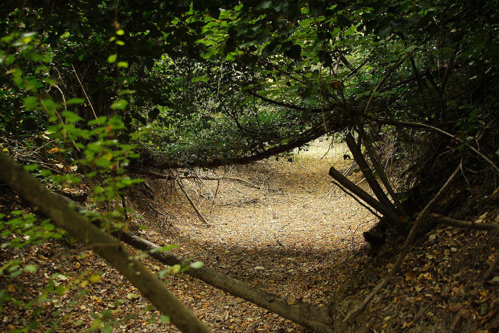 Agriturismo Biologico Villa Rosa Monte Guiduccio 外观 照片