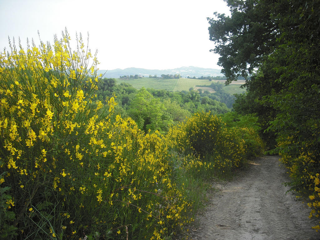 Agriturismo Biologico Villa Rosa Monte Guiduccio 外观 照片