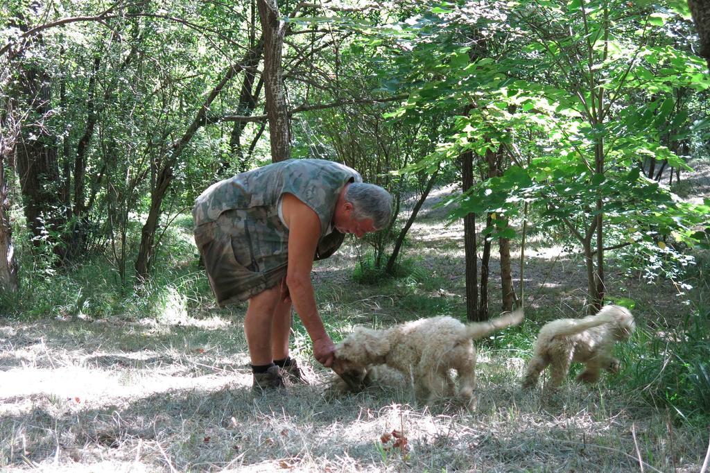 Agriturismo Biologico Villa Rosa Monte Guiduccio 外观 照片