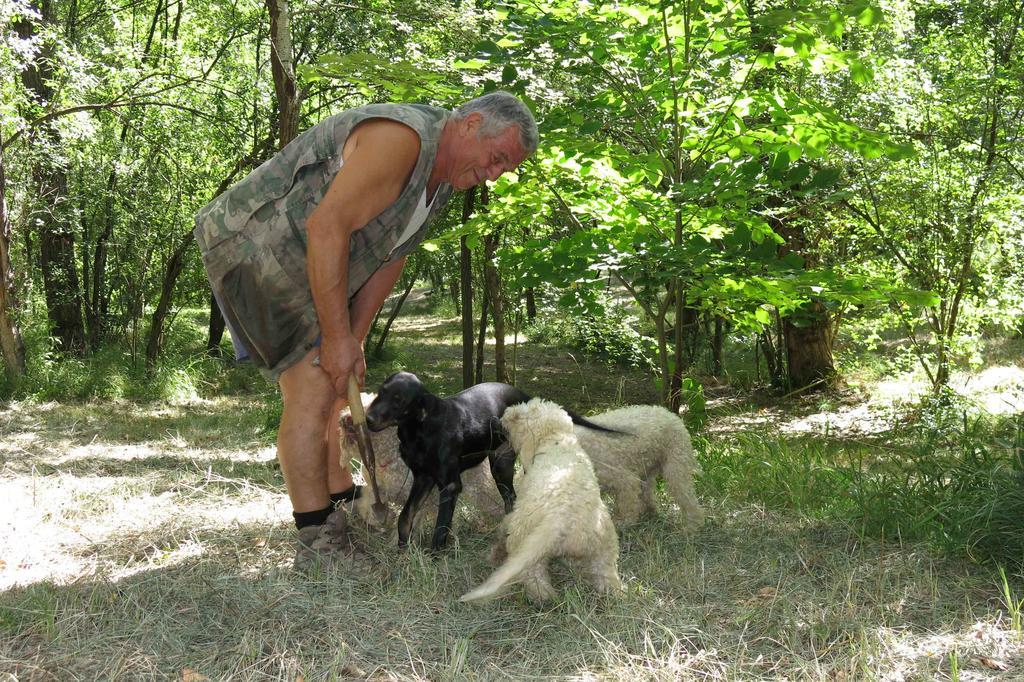 Agriturismo Biologico Villa Rosa Monte Guiduccio 外观 照片