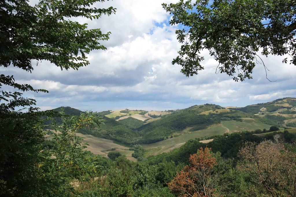 Agriturismo Biologico Villa Rosa Monte Guiduccio 外观 照片